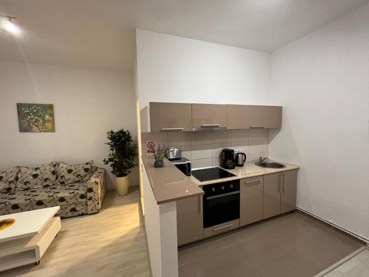 Apartament Teodora Sibiu Apartment Bagian luar foto