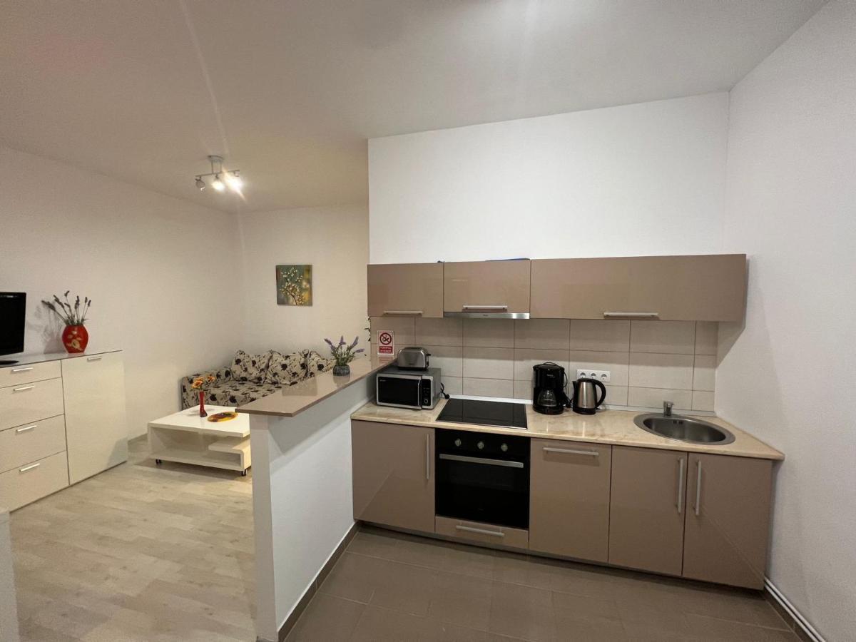 Apartament Teodora Sibiu Apartment Bagian luar foto